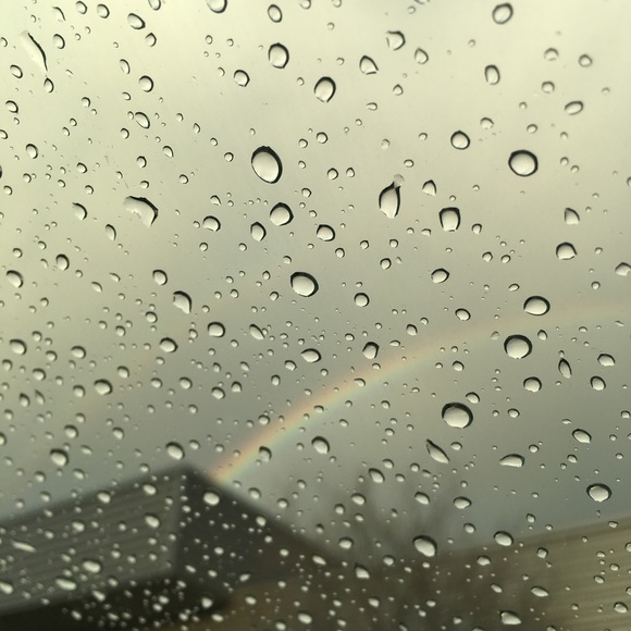 Meet your Posher, Savannah - Picture 1 of 1